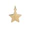 Charmalong&#x2122; 14K Gold Plated Star Charm by Bead Landing&#x2122;